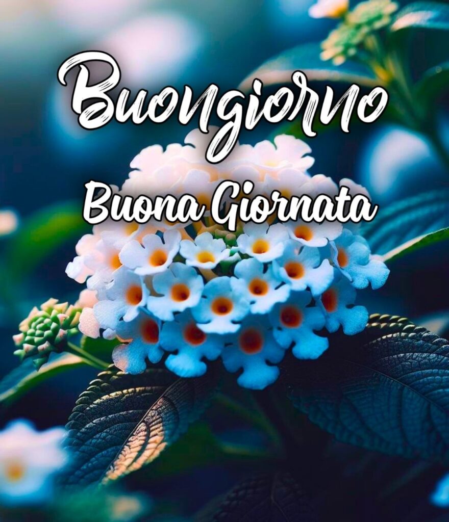 Recente Speciale Recente Buongiorno Buona Giornata