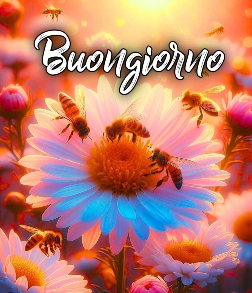 Semplicemente Buona Domenica Immagini