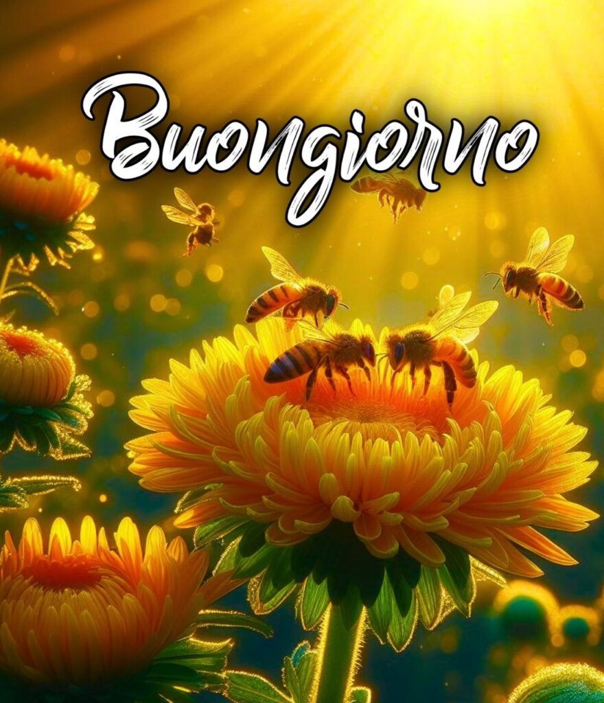 Semplicemente Buonanotte Whatsapp