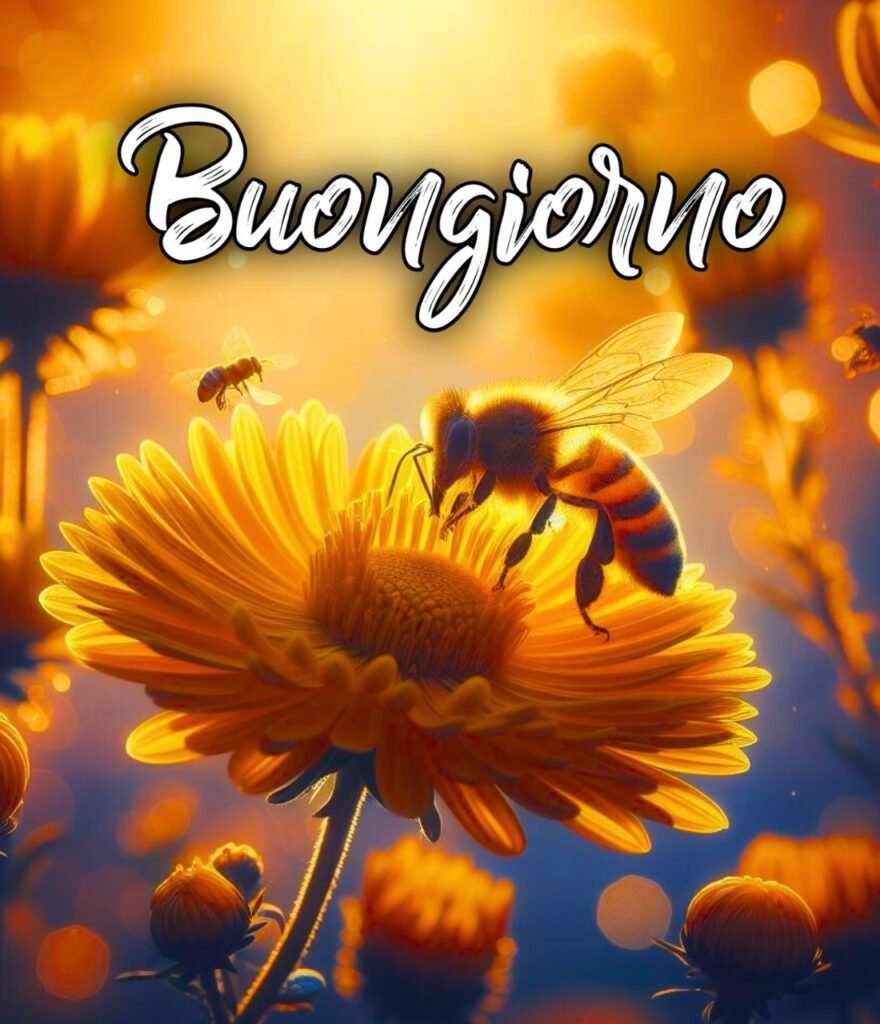 Semplicemente Buongiorno