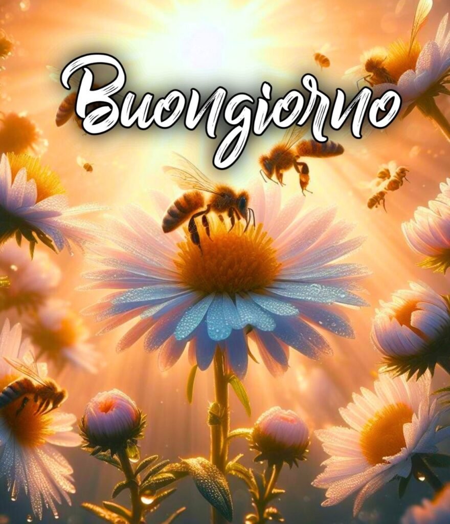 Semplicemente Buongiorno Gif