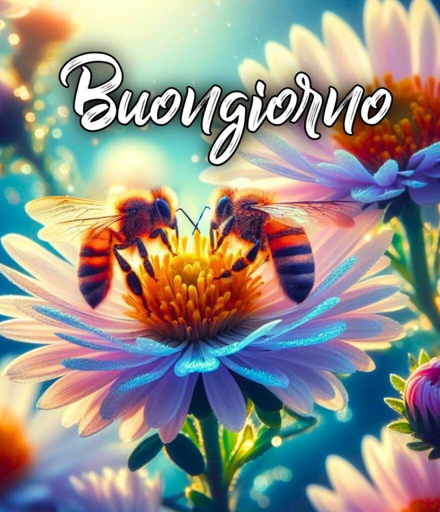 Semplicemente Buongiorno Immagini Nuove Divertenti