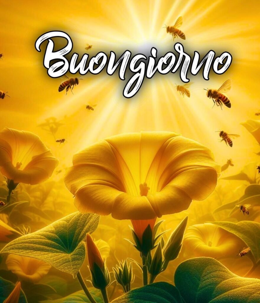 Semplicemente Buongiorno Immagini Nuove Domenica