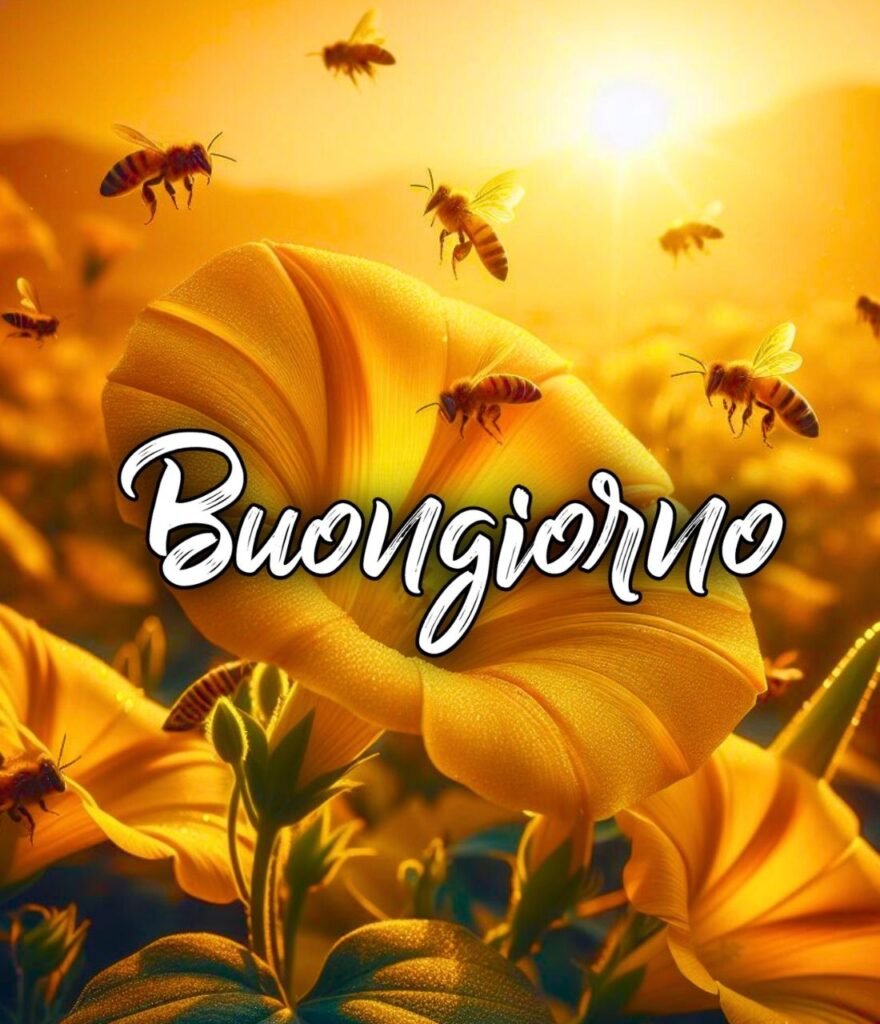 Semplicemente Buongiorno Immagini Nuove Gratis Per Whatsapp