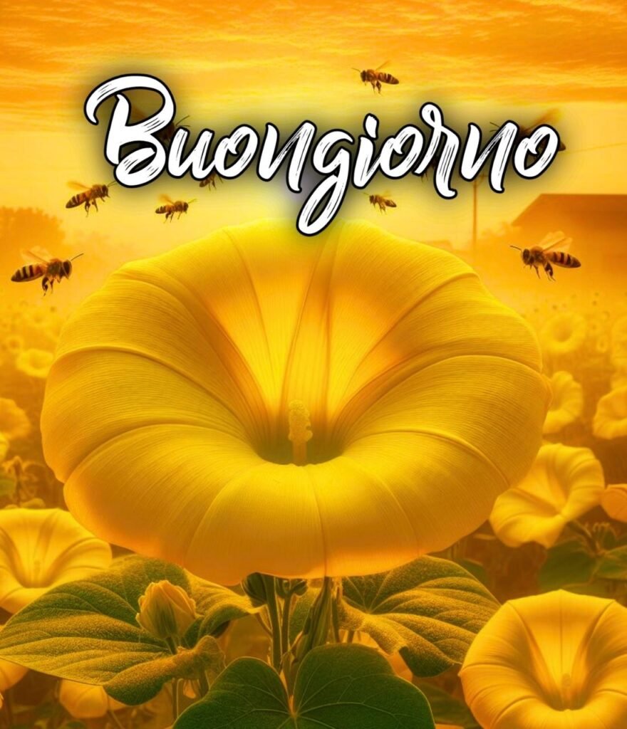 Semplicemente Buongiorno Immagini Nuove Gratis Per Whatsapp Buona Domenica