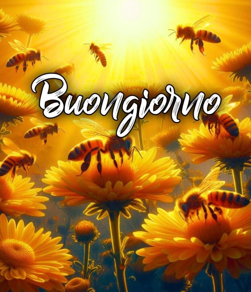 Semplicemente Buongiorno Immagini Nuove Gratis Per Whatsapp Buonanotte