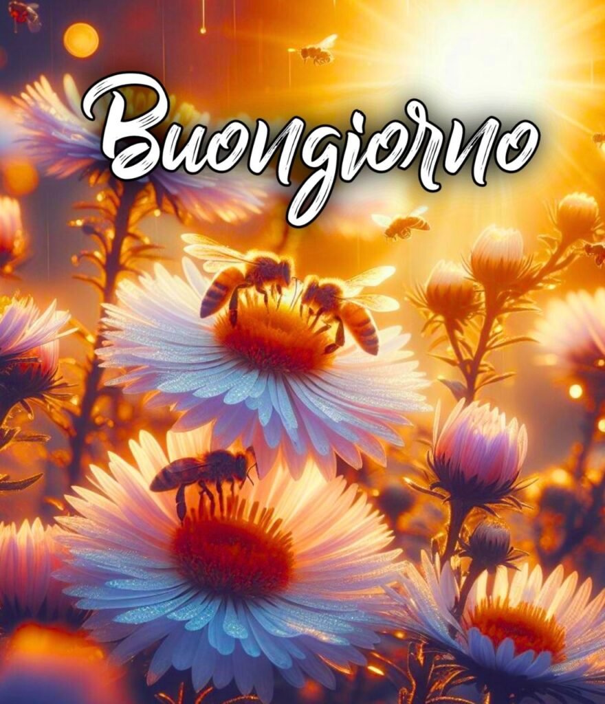 Semplicemente Buongiorno Immagini Nuove Gratis Per Whatsapp Web