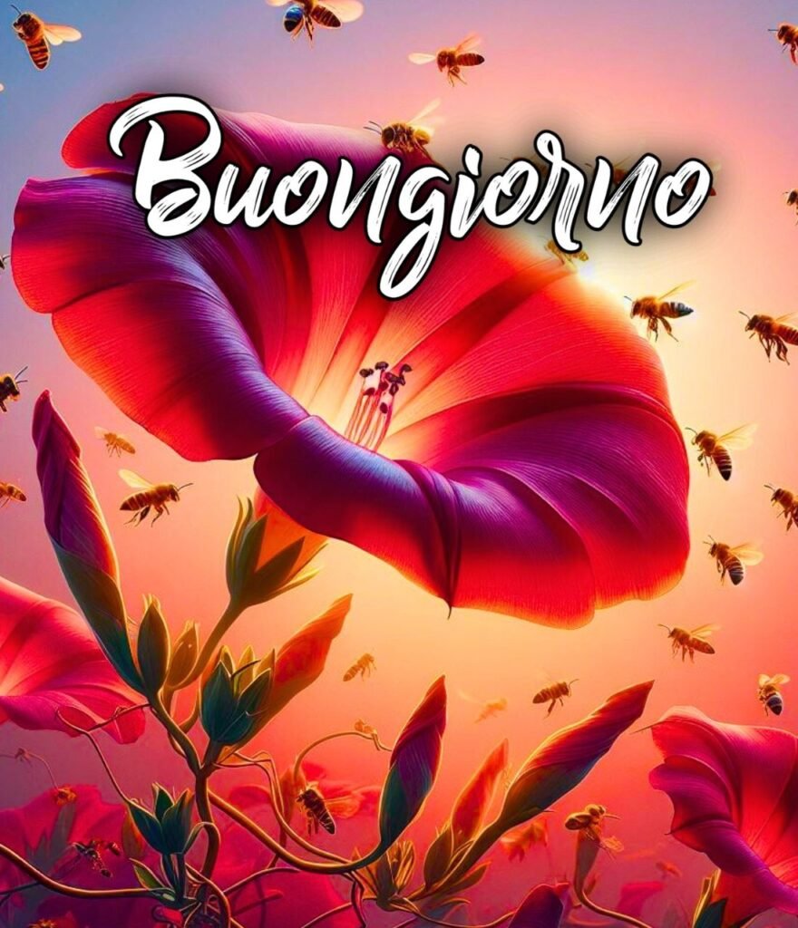 Semplicemente Buongiorno Immagini Nuove Gratis Per Whatsapp,buonanotte