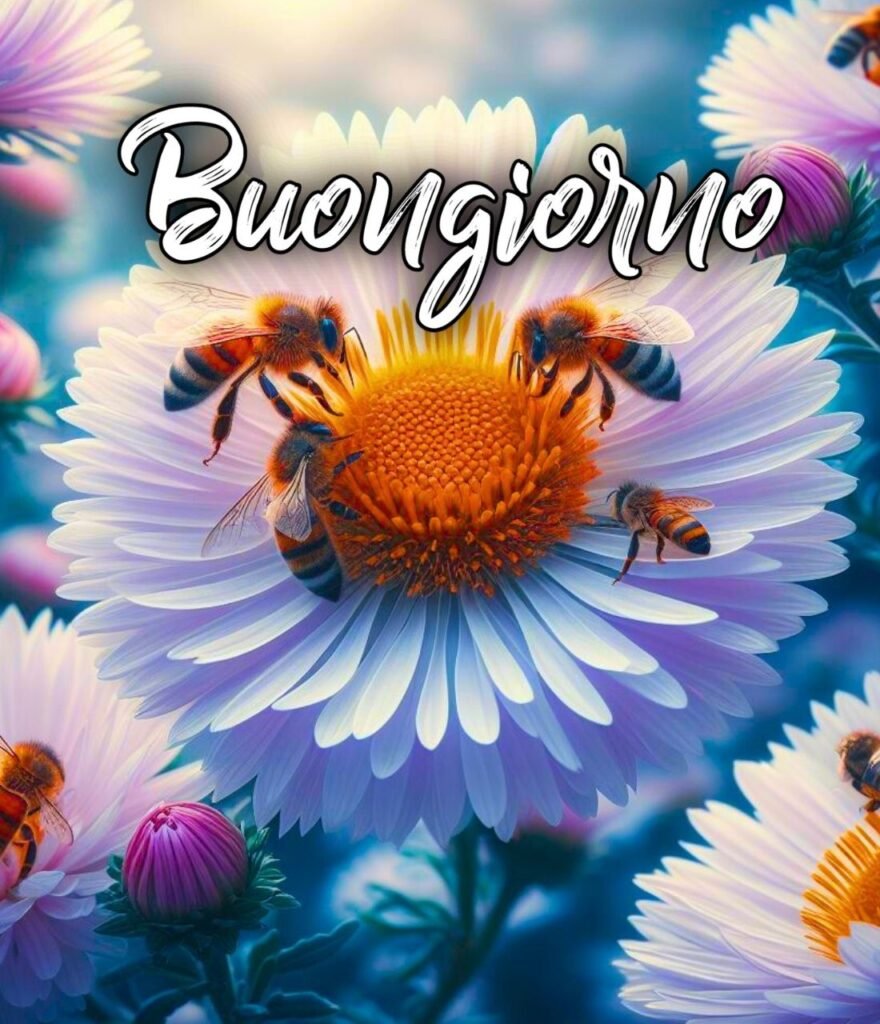 Semplicemente Buongiorno Immagini Nuove Sabato