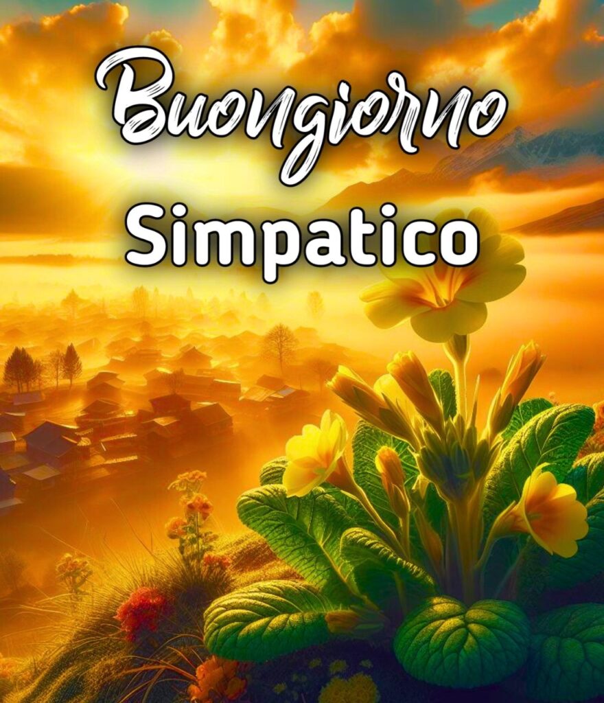 Simpatico Buongiorno Originale