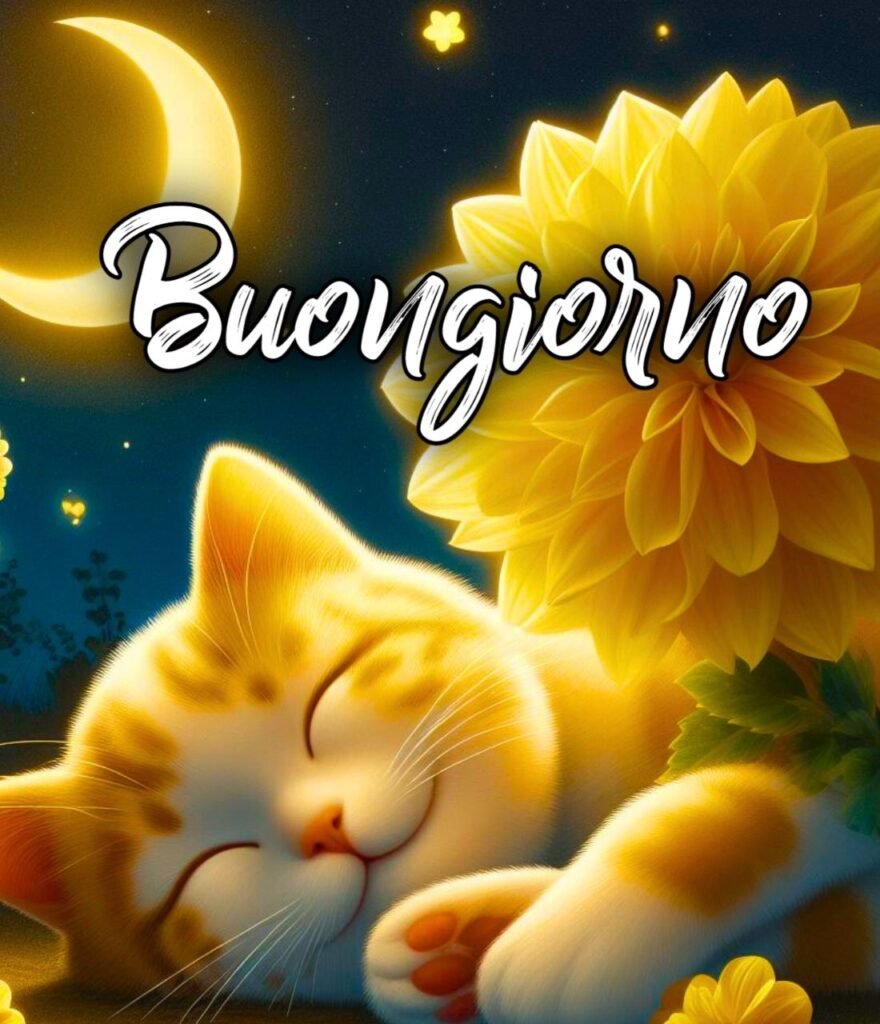 Speciale Immagini Buonanotte Belle