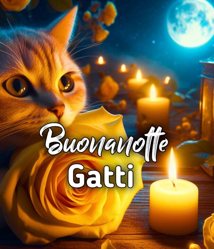 Spiritoso Buonanotte Gatti Divertenti