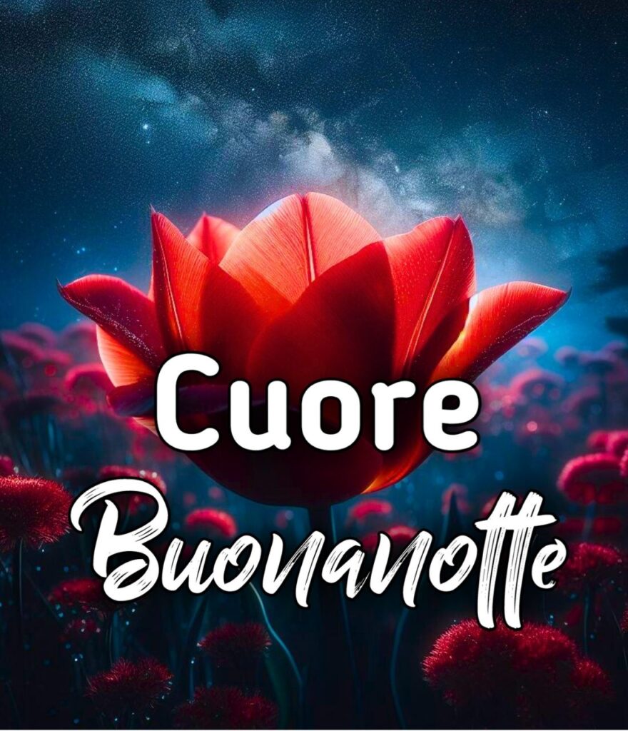 Stupenda Buonanotte Con Il Cuore