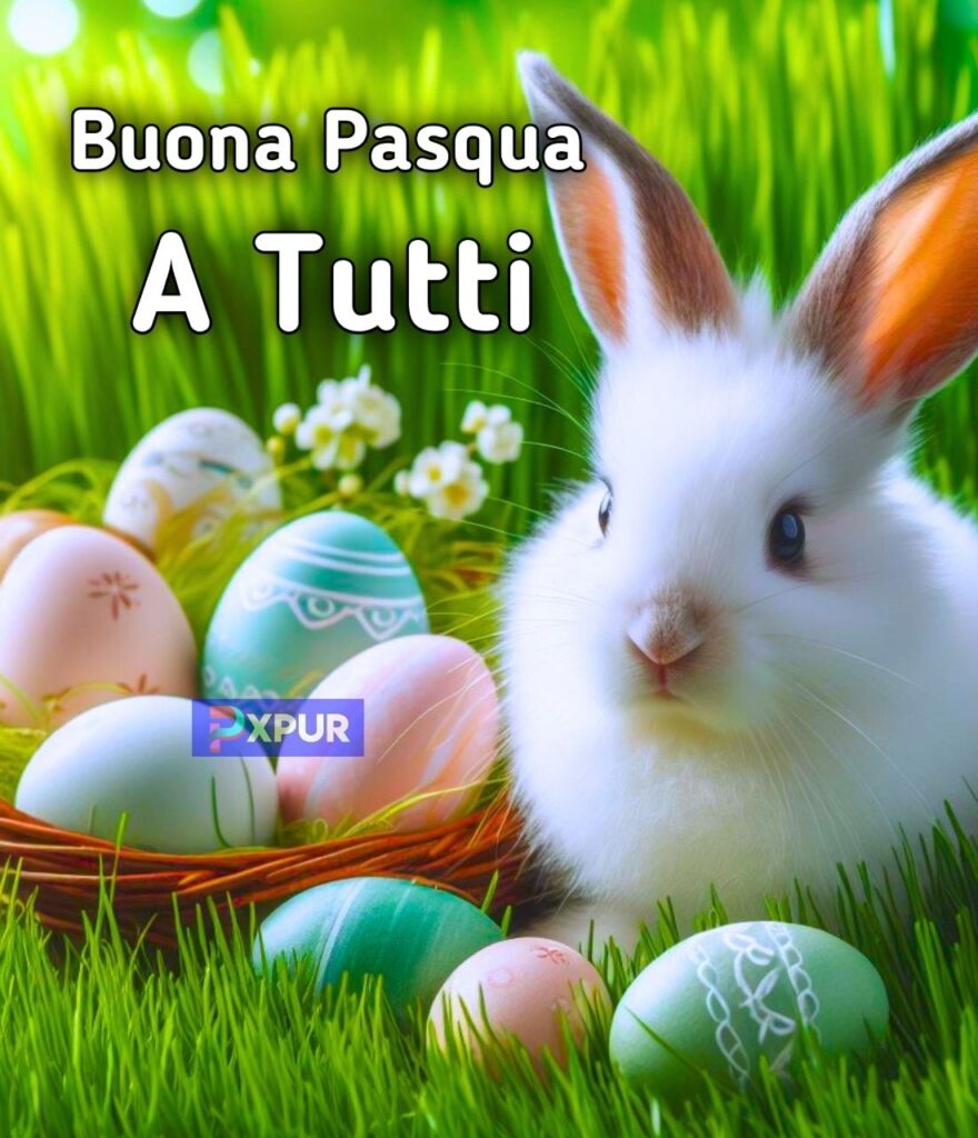 Tutte Le Uova Di Pasqua 2024