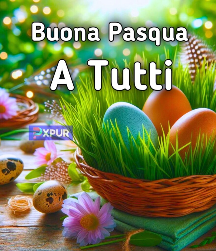 Tutti I Tipi Di Uova Di Pasqua