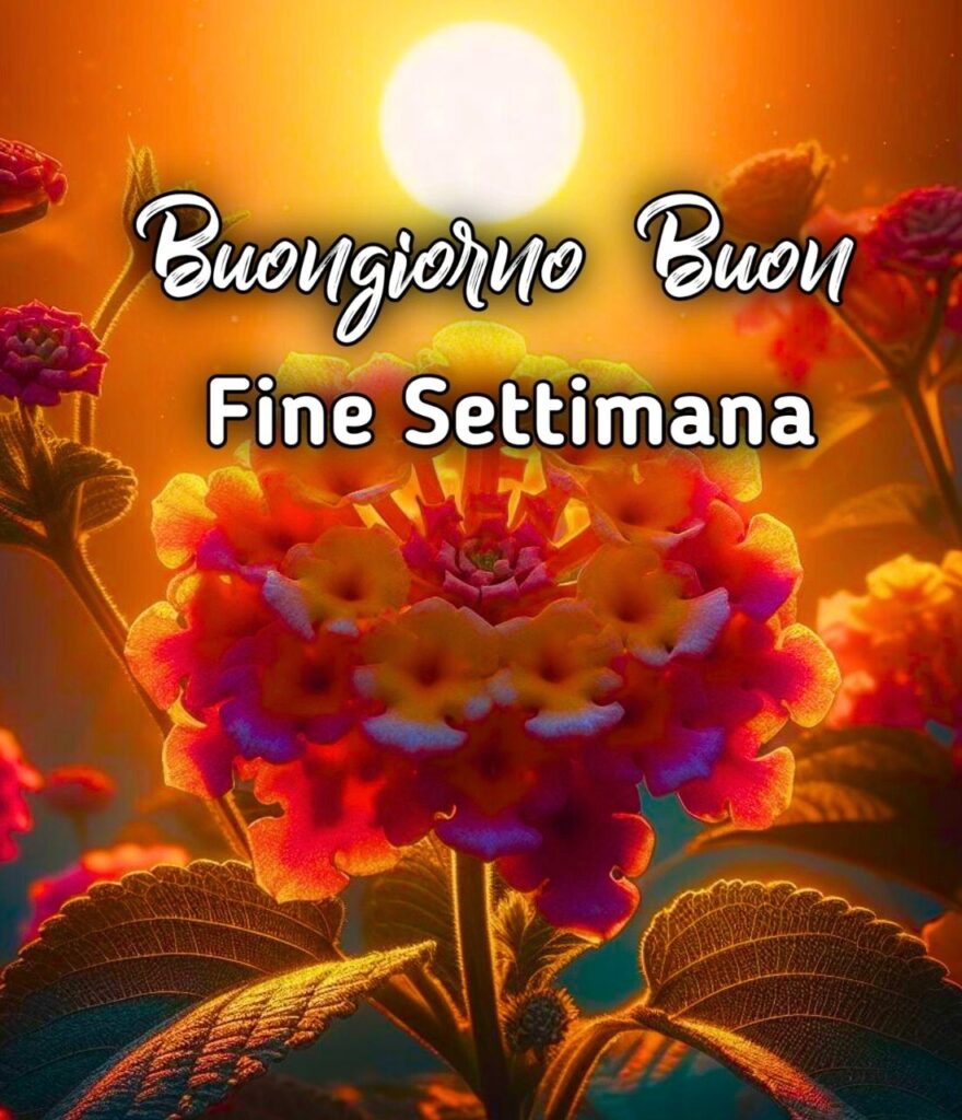 Weekend Fine Settimana Buongiorno Buon Sabato