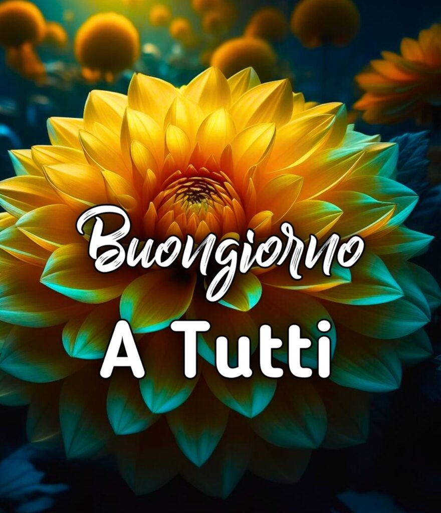 Whatsapp Buona Notte Bilder Kostenlos