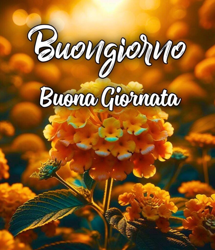 Whatsapp Buongiorno E Buona Giornata