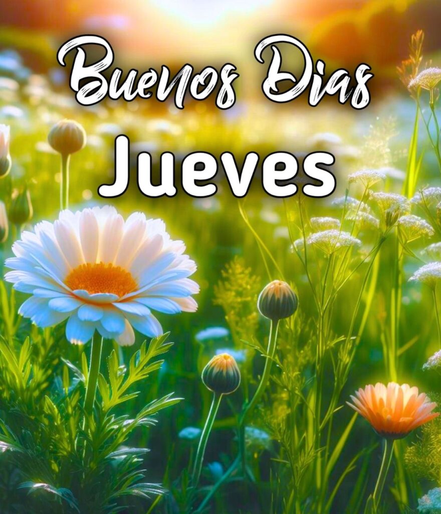 Bendecido Jueves Buen Dia