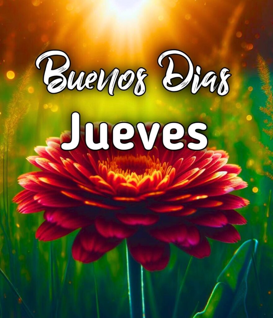 Bendiciones Buenos Dias Feliz Jueves