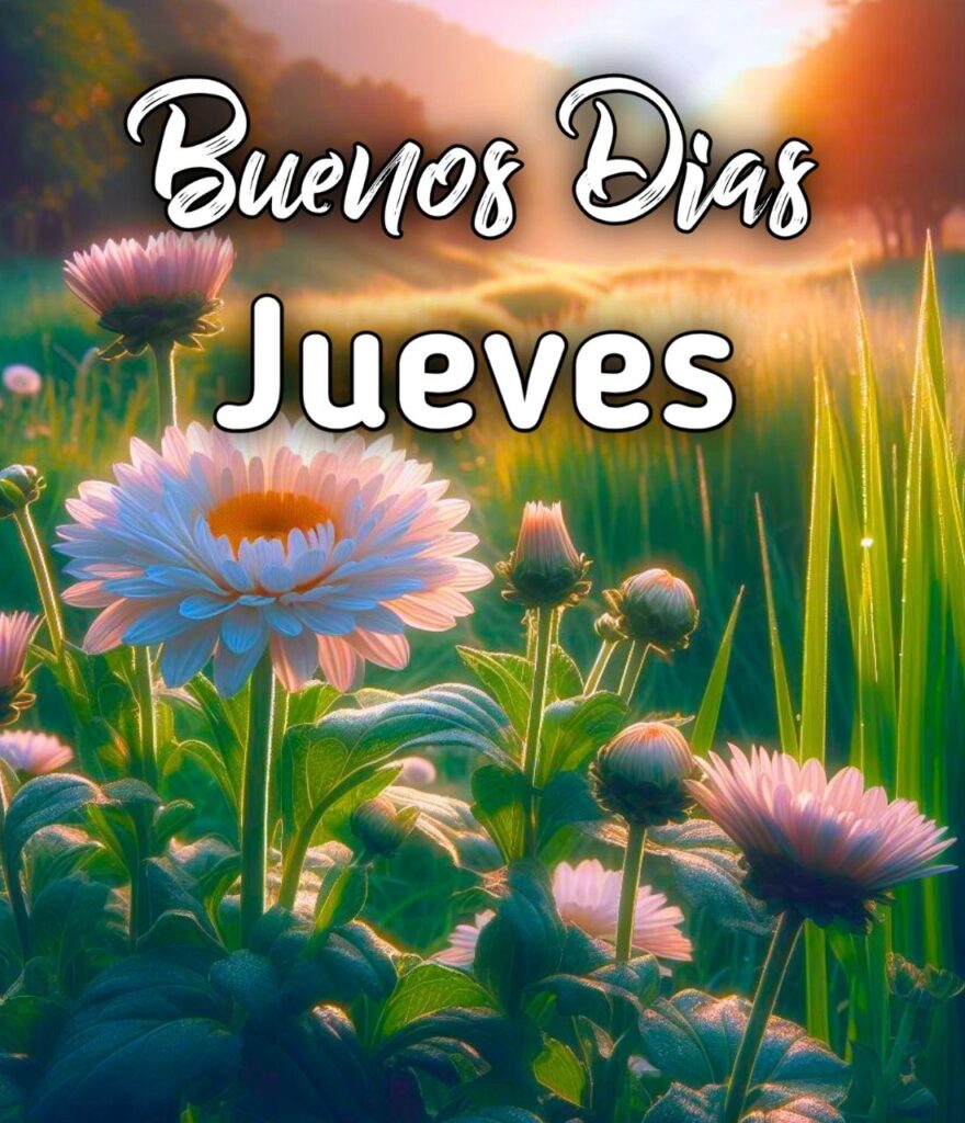 Buen Dia De Jueves