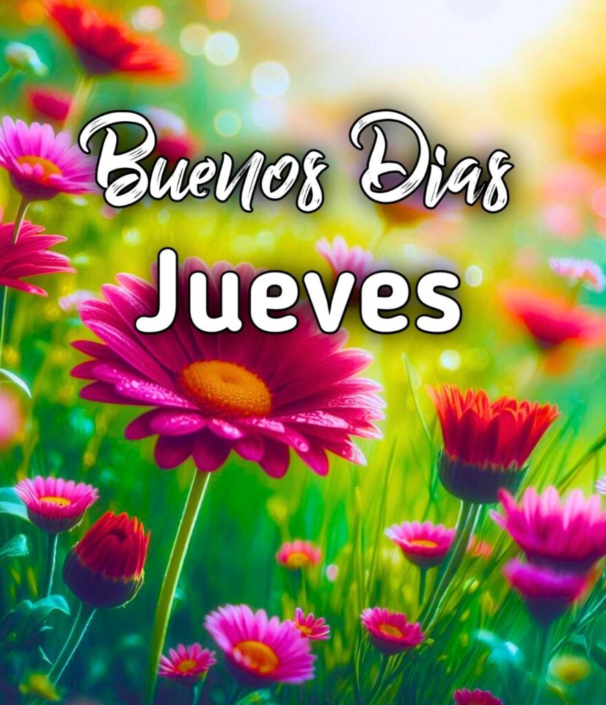 Buen Dia Feliz Jueves Bendiciones