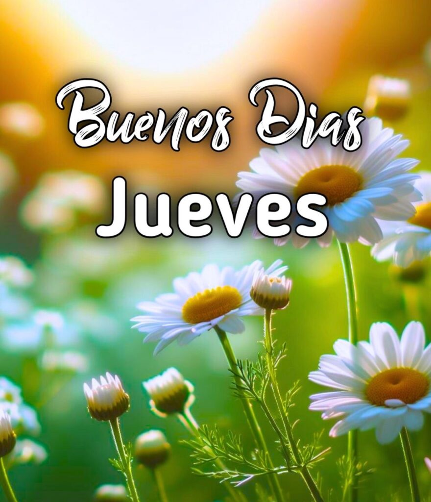 Buen Dia Jueves Bendecido