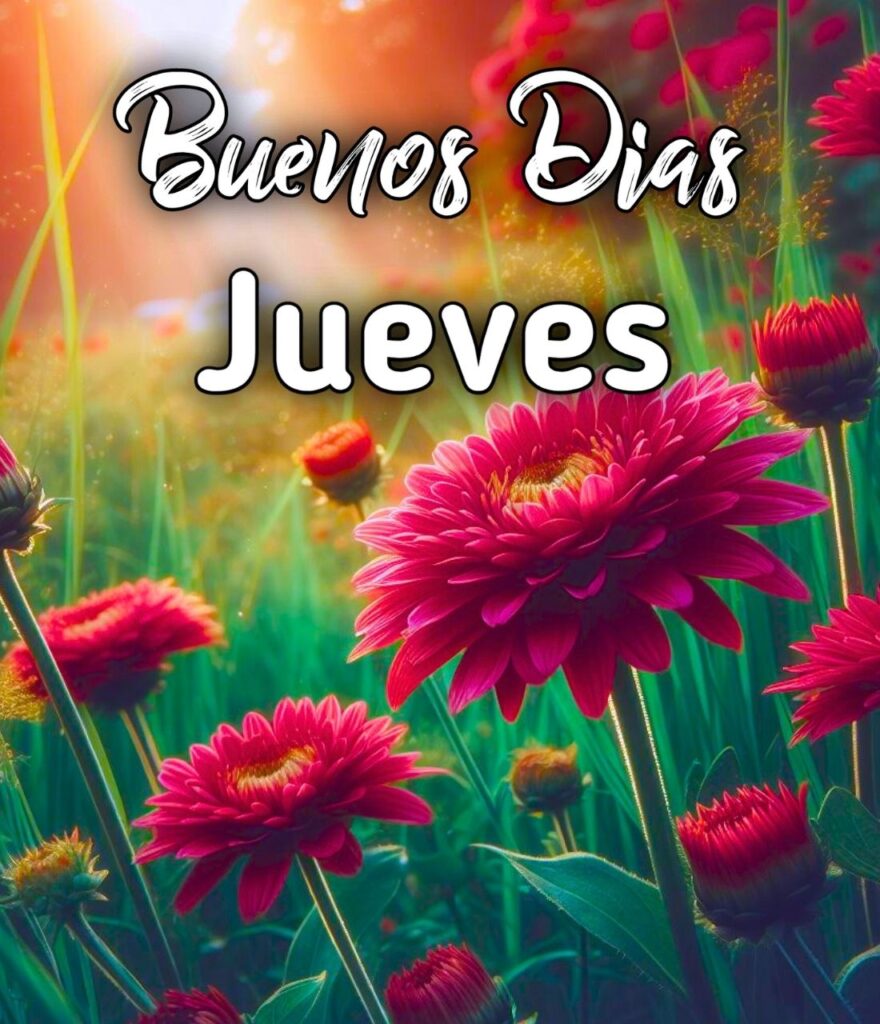 Buen Día Jueves Bendiciones