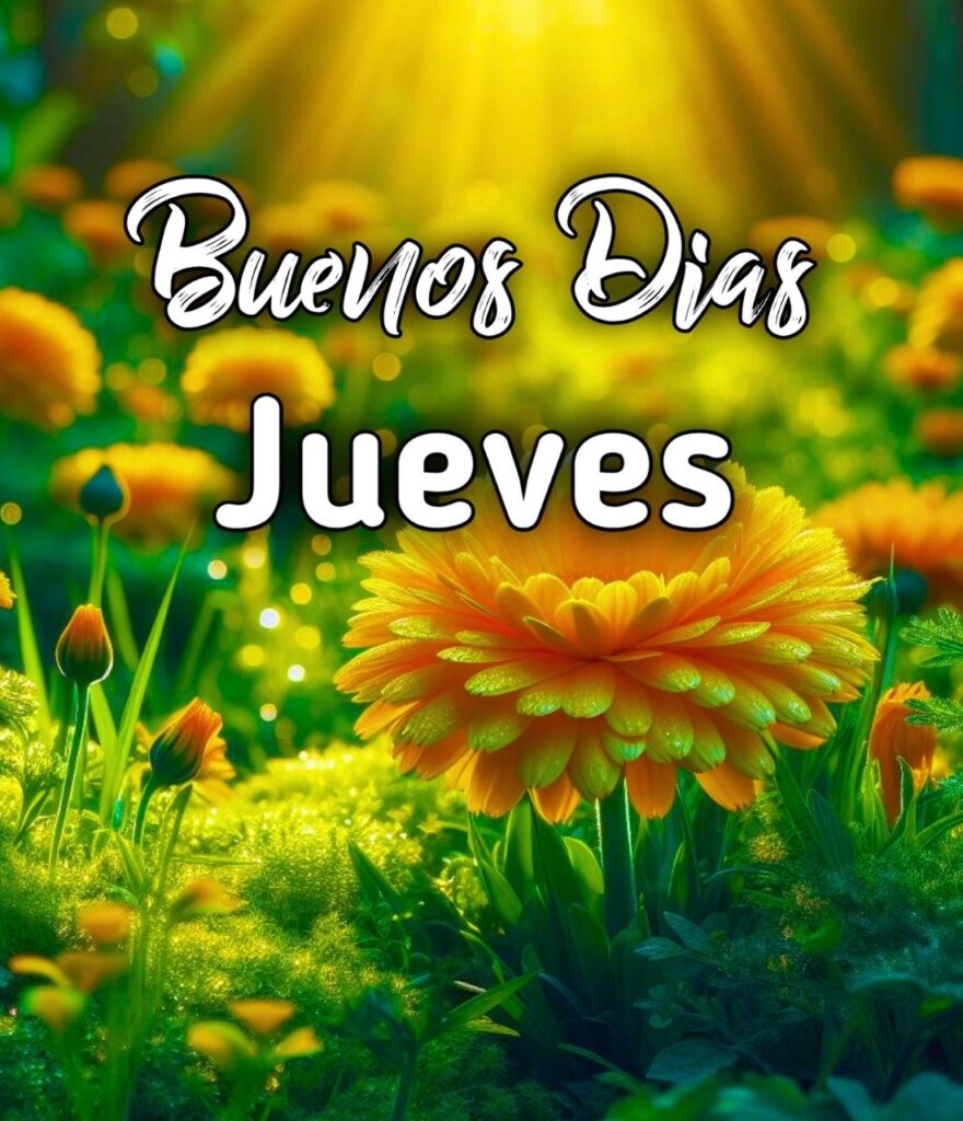 Buenos Dias Excelente Jueves