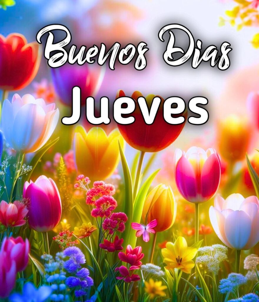 Buenos Dias Feliz Jueves Bendiciones