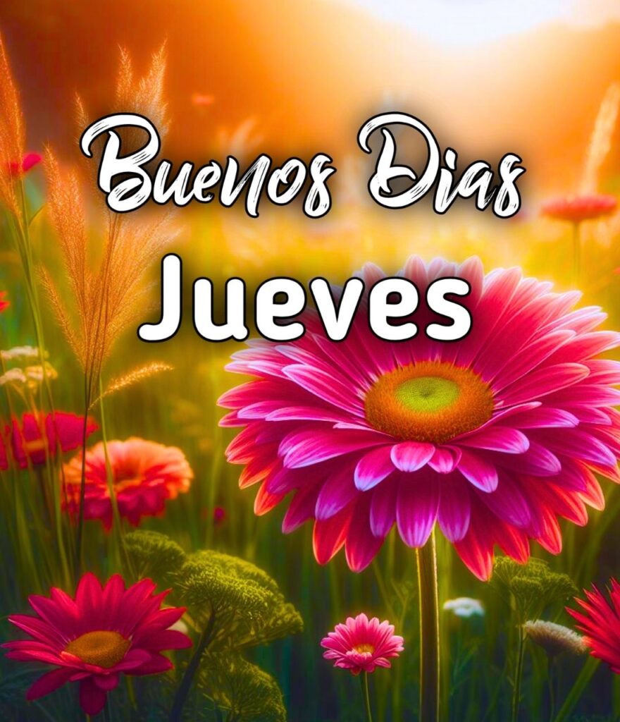 Buenos Dias Jueves