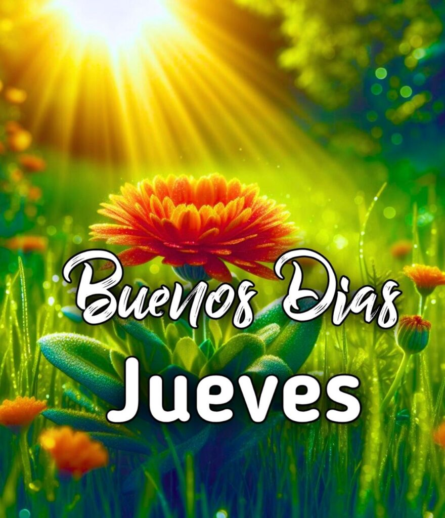 Buenos Dias Jueves Bendiciones