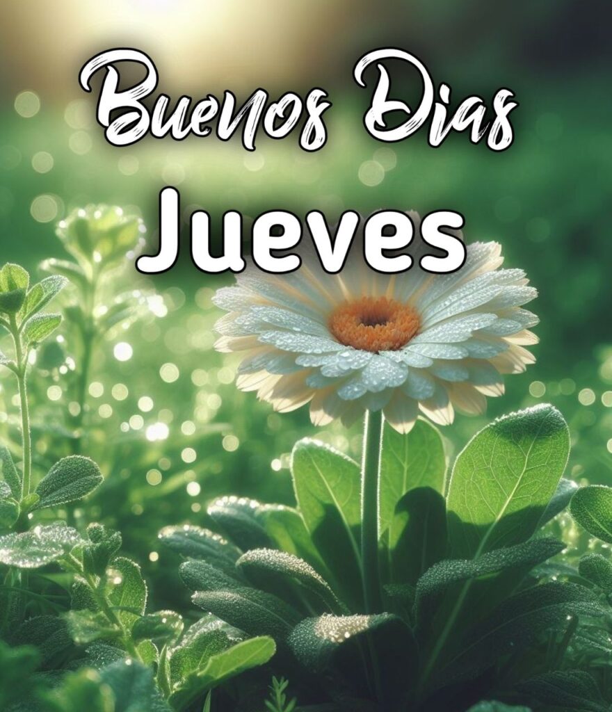 Buenos Dias Jueves Motivacion