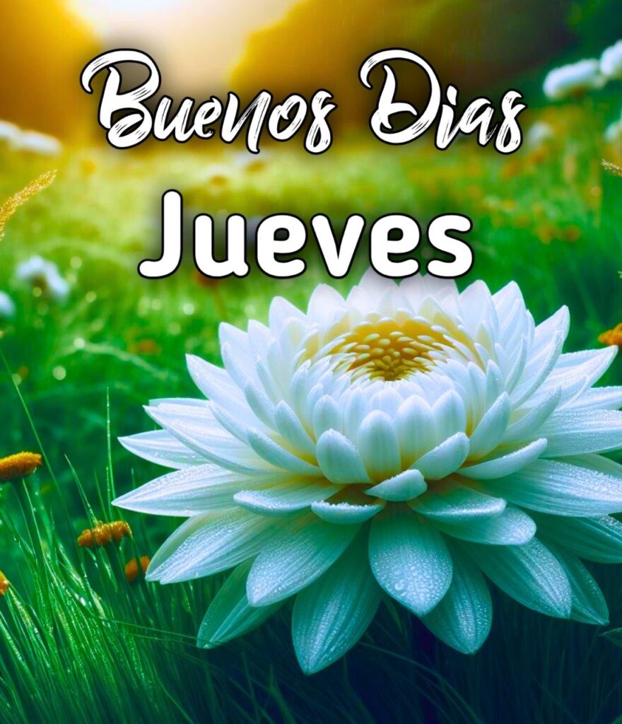 Buenos Dias Jueves Pinterest