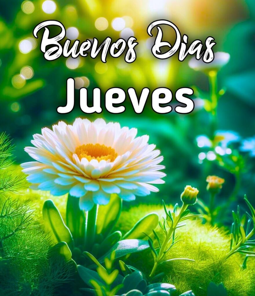 Feliz Jueves Buen Dia