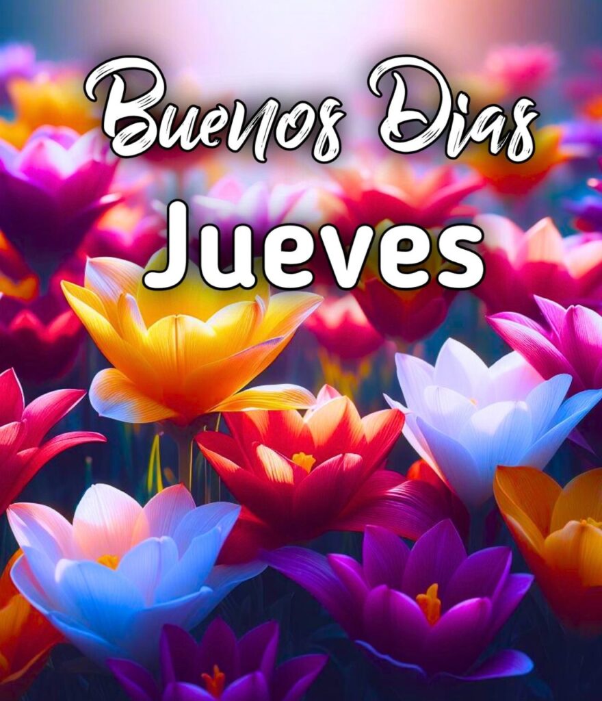 Feliz Jueves Buenos Dias Bendiciones