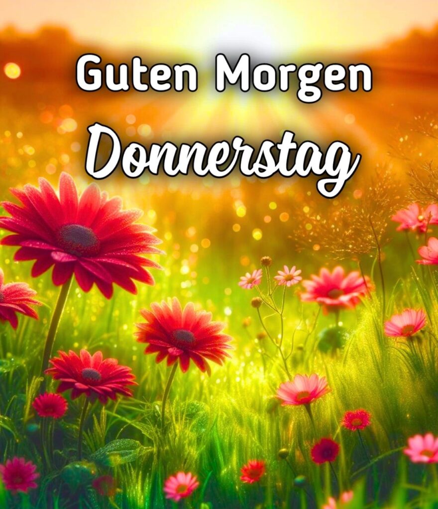 Herz Guten Morgen Donnerstag