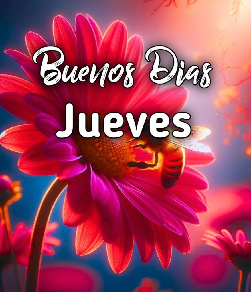 Lindo Jueves Buenos Dias