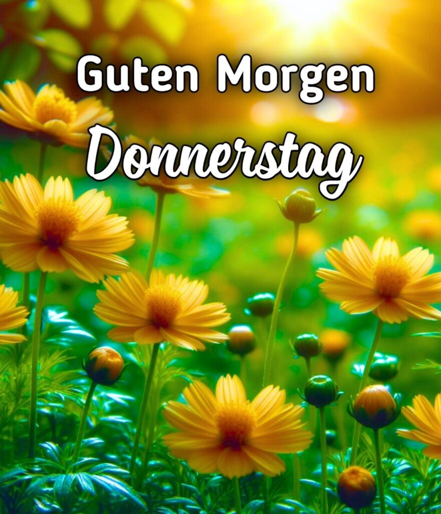 Schönen Guten Morgen Donnerstag