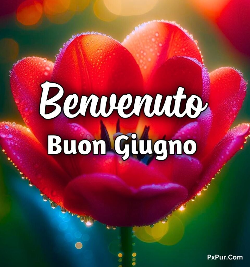 1 Giugno 2024 Buongiorno Immagini Gratis