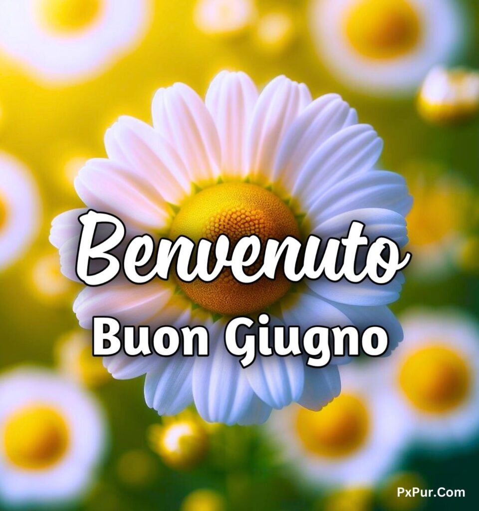 1 Giugno Buongiorno Benvenuto Giugno