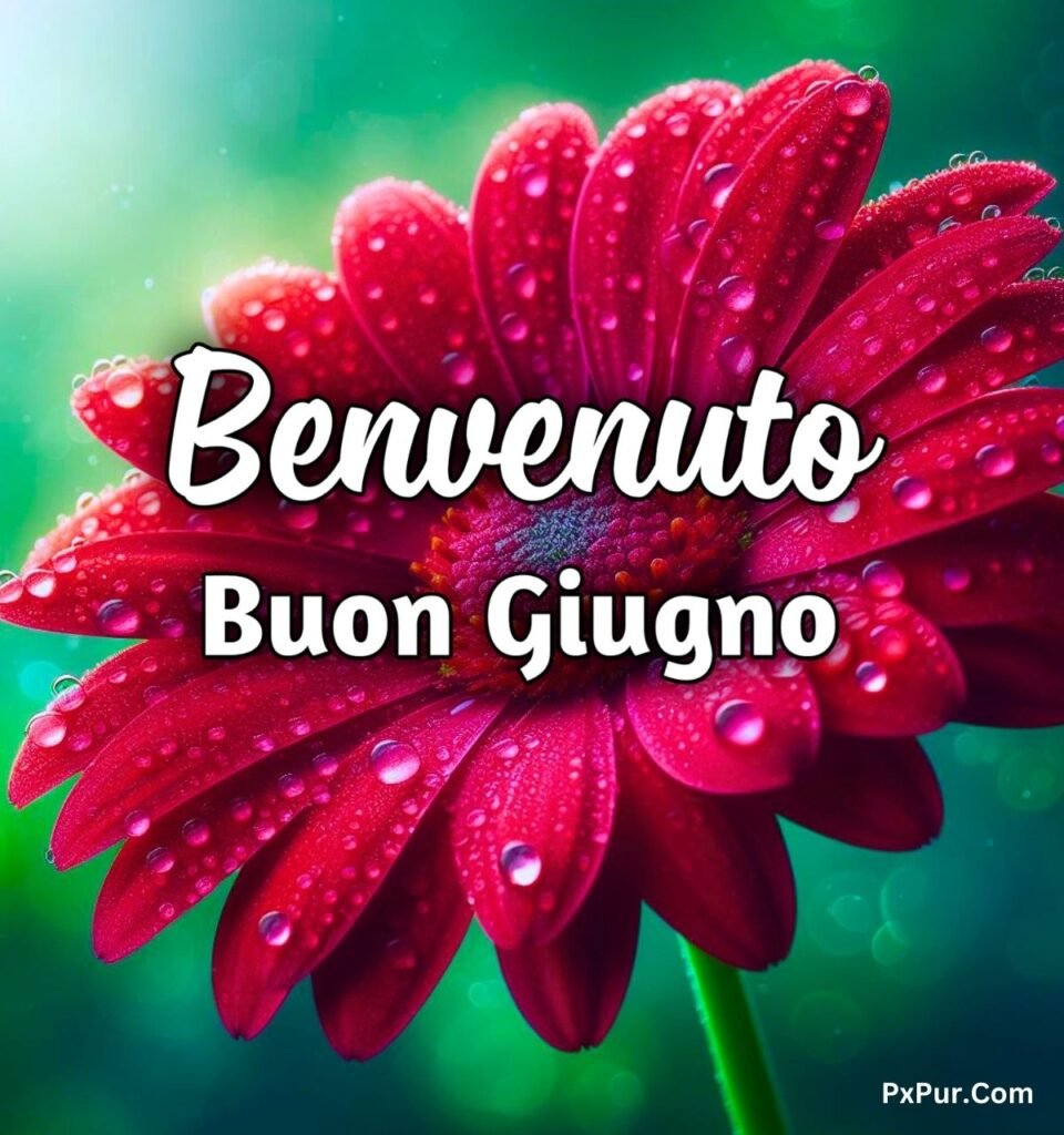 Benvenuto Giugno