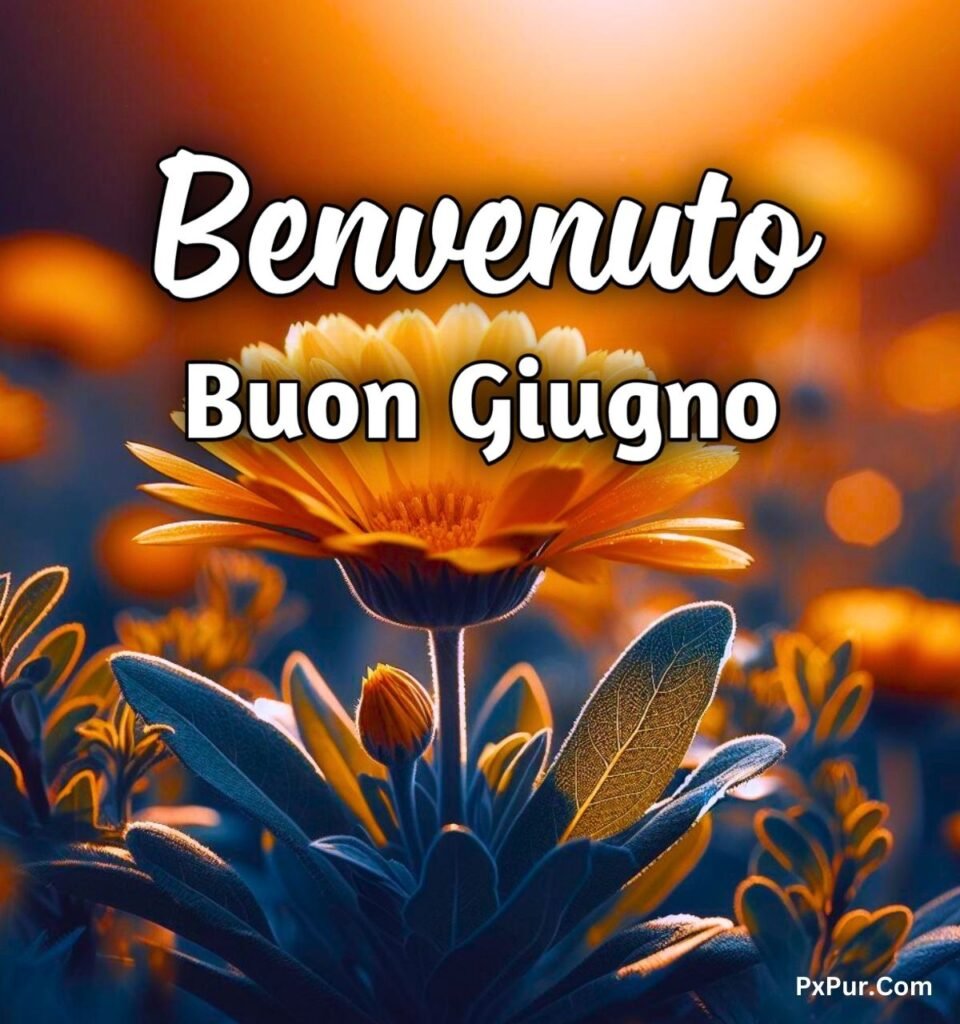 Benvenuto Giugno Buongiorno