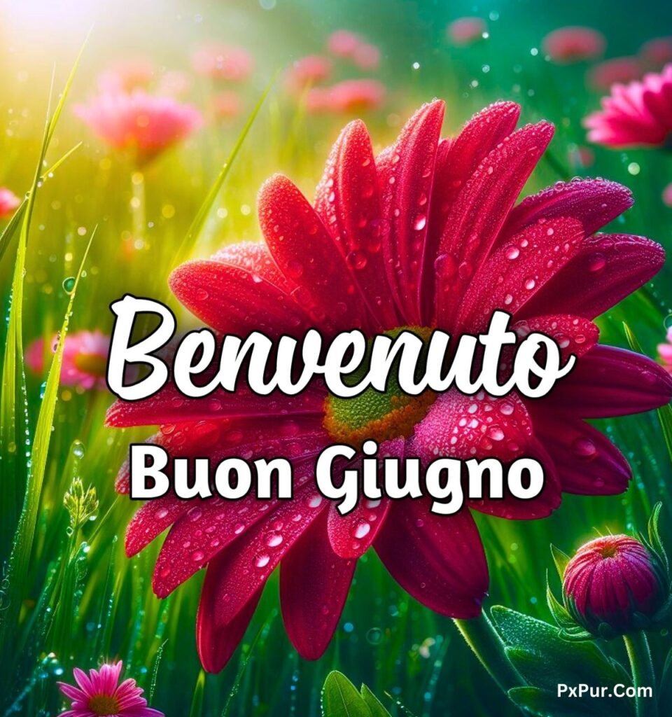 Benvenuto Giugno Immagini