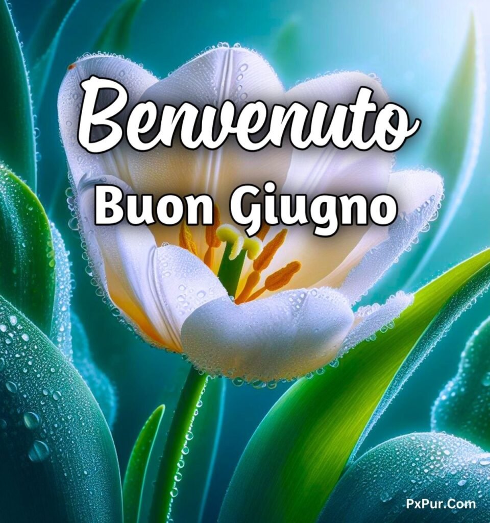 Buon 1 Giugno 2024