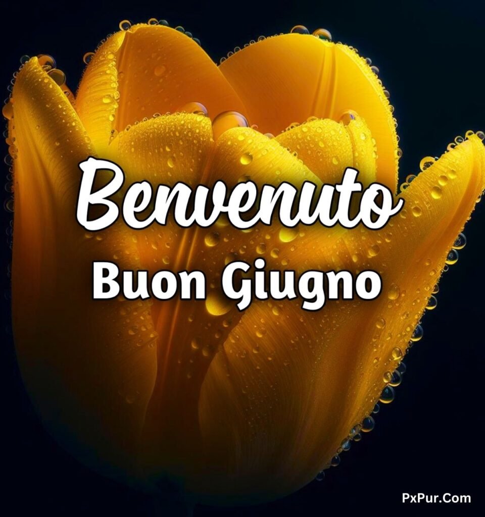 Buon 1 Giugno 2024 Buongiorno