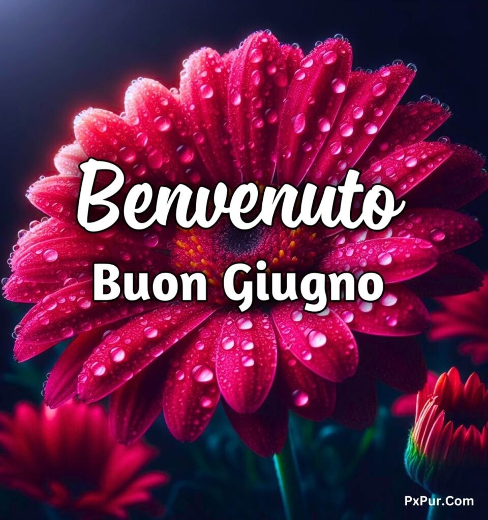 Buon 1 Giugno Buongiorno