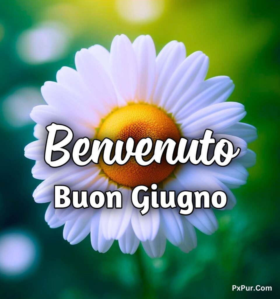 Buon Sabato Primo Giugno