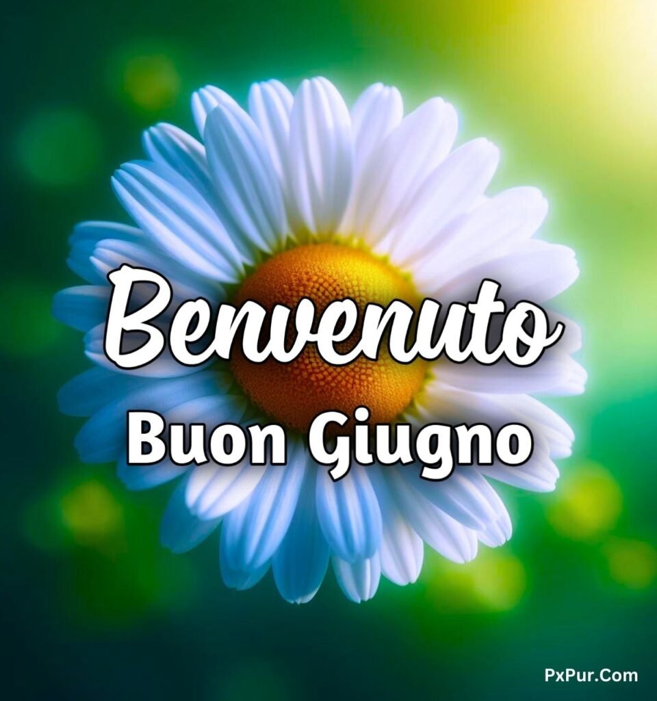 Buon Primo Giugno 2024 Immagini