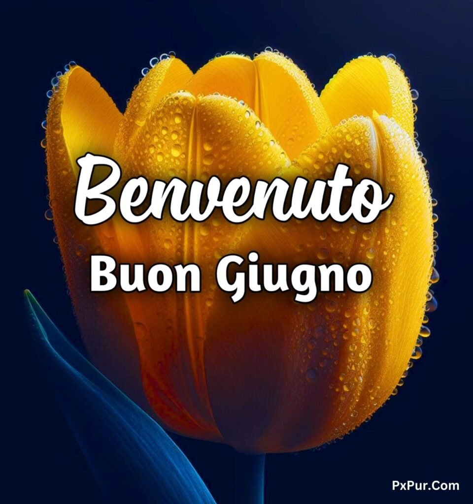 Buon Primo Giugno